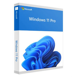 Microsoft Windows 11 Professional OEM 64-bit English DVD