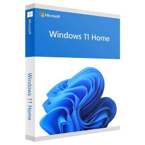 Microsoft Windows 11 Home, 64 Bit, USB Drive Retail Pack