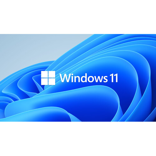 Microsoft Windows 11 Professional OEM 64-bit English 